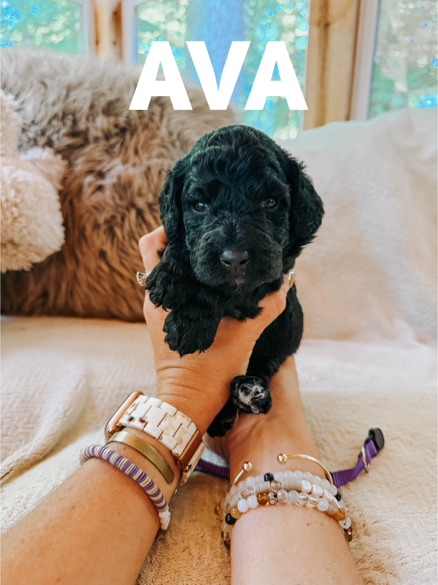 Ava 1